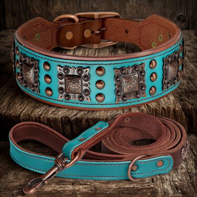 collier-en-cuir-pour-chien-laisse-assorti-couleur-turquoise