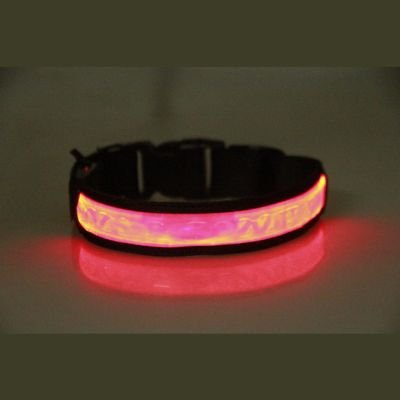 Collier lumineux chien | FlAsh™️ - Jolianimaux