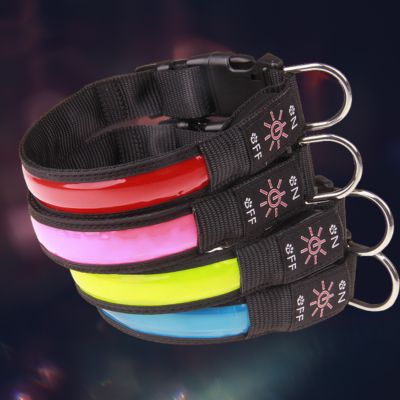 collier lumineux chien couleurs bleu-rouge rose vert