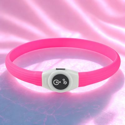 collier lumineux chien couleurs rose