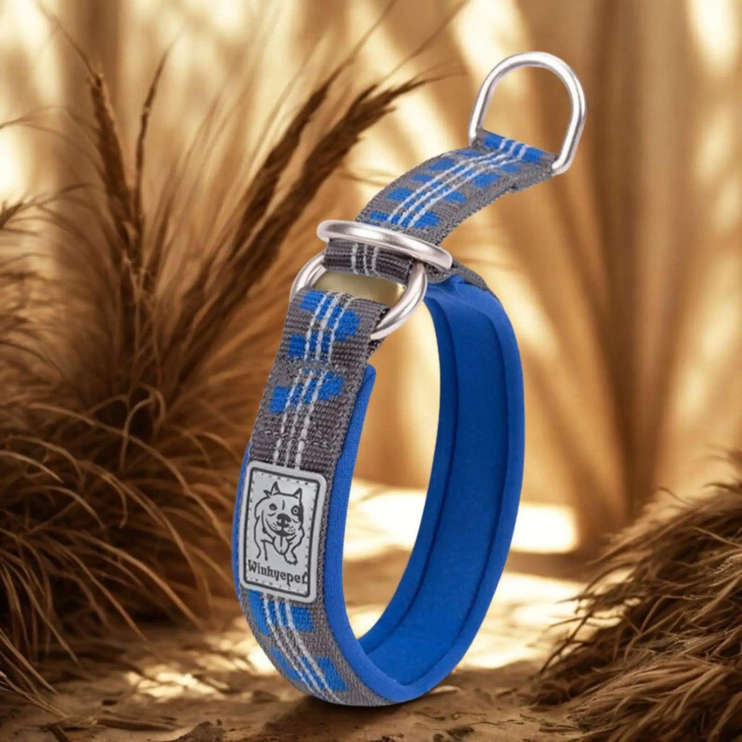 Un collier martingale pour chien de couleur bleue.