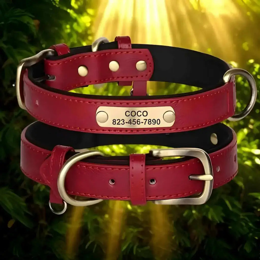 Un collier personnalisable pour chien de couleur cuir rouge.