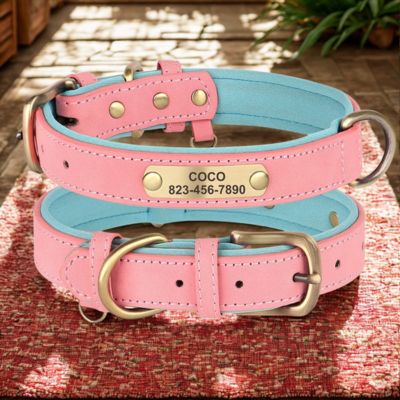collier personnalisable pour chien cuir pu couleur rose bleu
