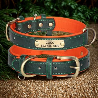 collier personnalisable pour chien cuir pu couleur vert orange