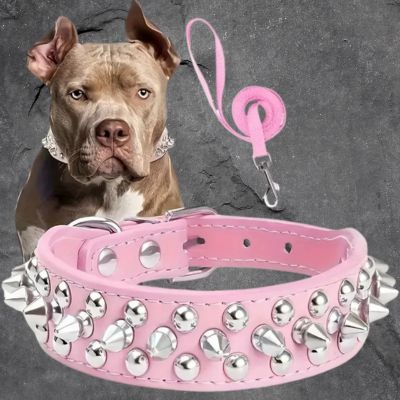 collier pour chien couleur rose pointe