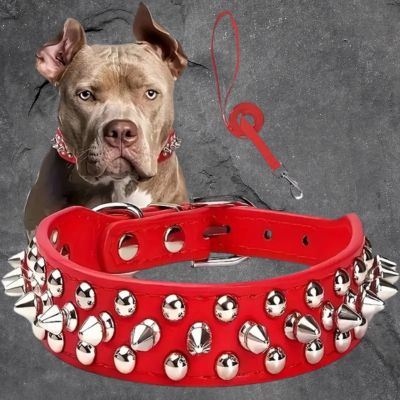 collier pour chien couleur rouge point