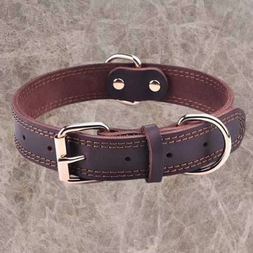 Collier pour chien | Médor™️ - Élégance Durable - Jolianimaux