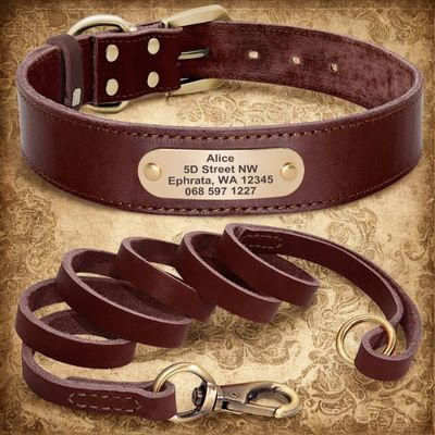colliers pour chiens personnalises collier laisse couleur brun