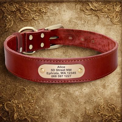 colliers pour chiens personnalises couleur marron