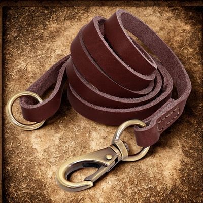 colliers pour chiens personnalises laisse assortie couleur brun