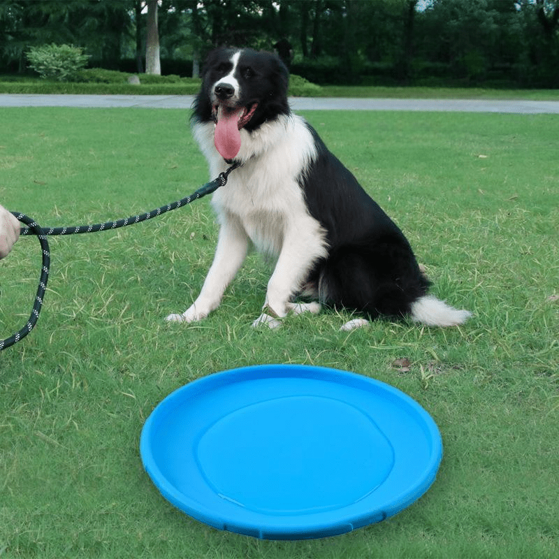 Frisbee Chien - FlyingDiscToys™ - Bleu - Jolianimaux