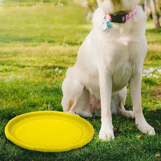 Frisbee Chien - FlyingDiscToys™ - Jaune - Jolianimaux