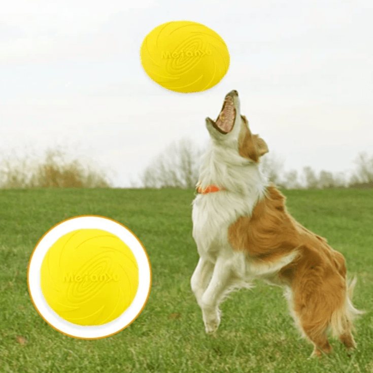 Frisbee Chien - FlyingDiscToys™ - Jaune - Jolianimaux