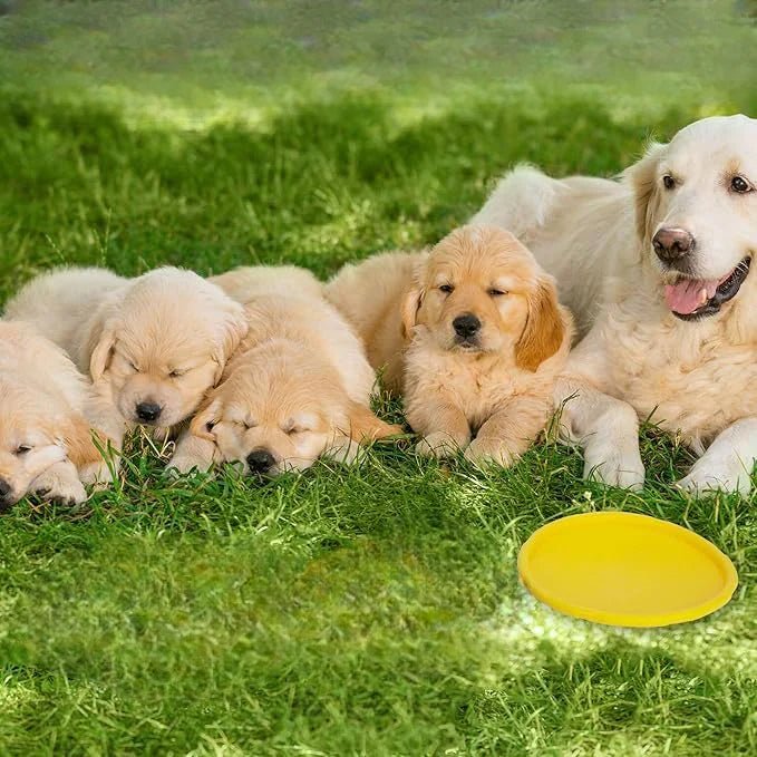 Frisbee Chien - FlyingDiscToys™ - Jaune - Jolianimaux