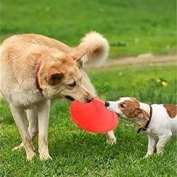 Frisbee Chien - FlyingDiscToys™ - Rouge - Jolianimaux