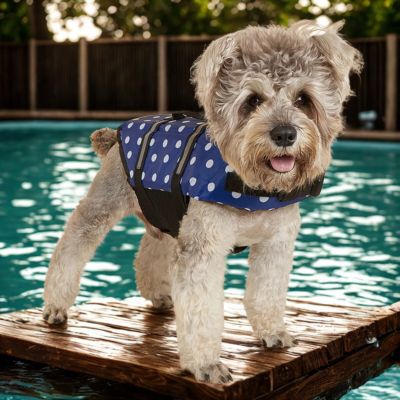 gilet de sauvetage chien couleur bleu marin pois