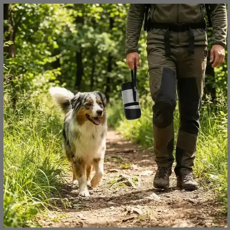 Un berger australien marche dans un sentier avec son maître avec les gourdes pour chien HydraCanis à la main.