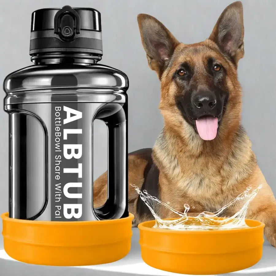 Un berger allemand avec une gourde pour chien de grande capacité.