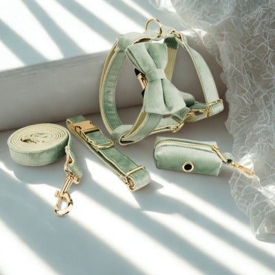 harnais 5 article vert