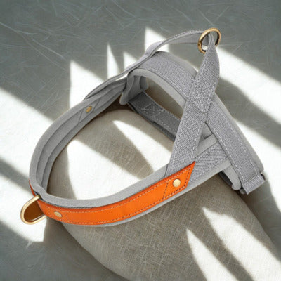 harnais anti traction chien couleur gris