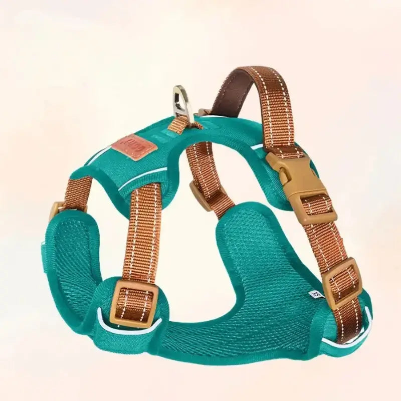 Un harnais pour chien anti-traction de couleur turquoise.