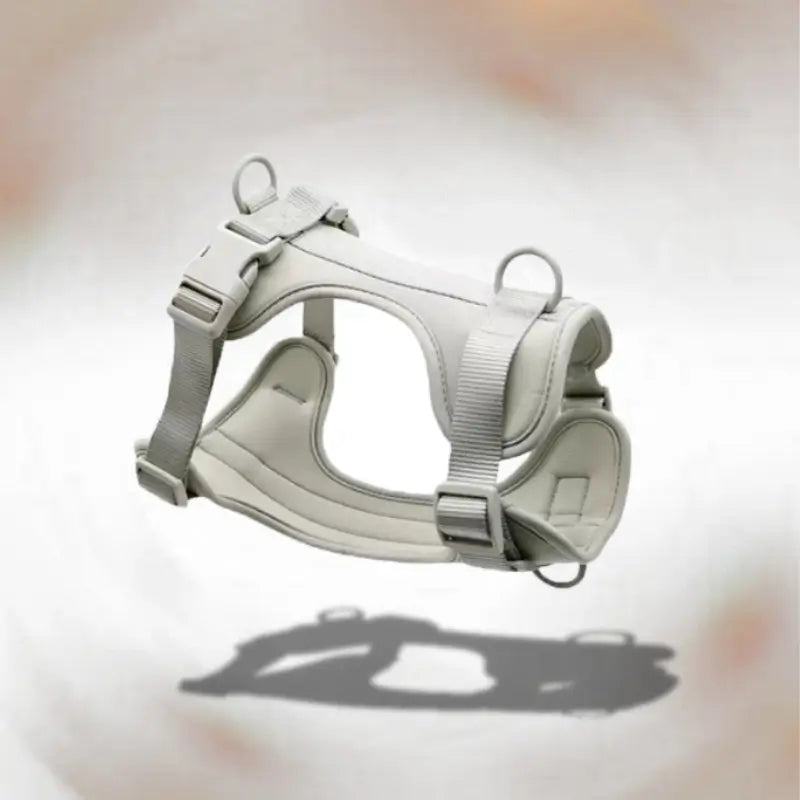 Harnais anti-traction pour chien de couleur grise.