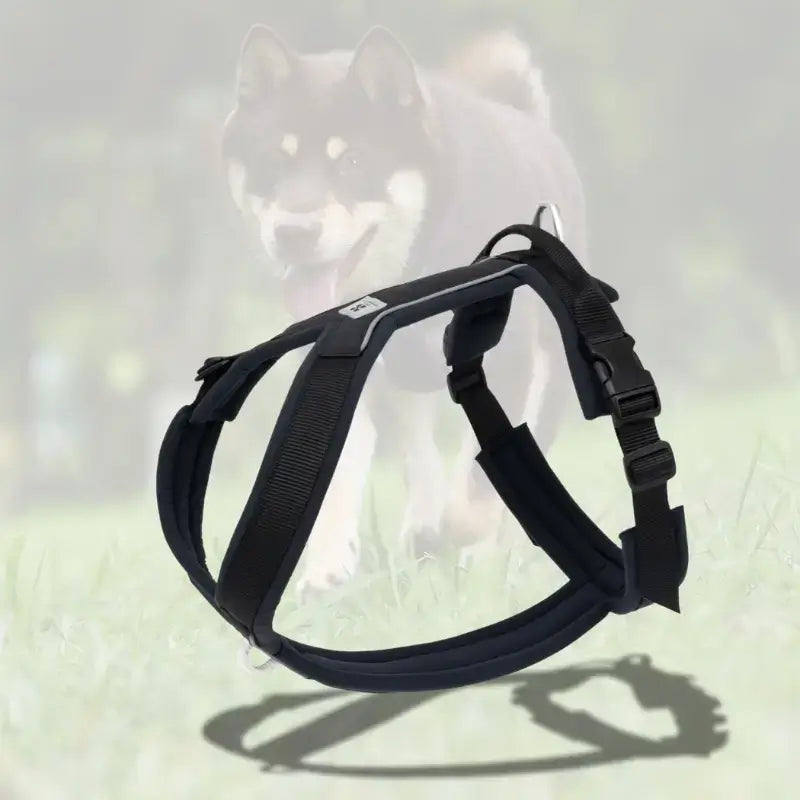 Un harnais pour chien confort de couleur noire.
