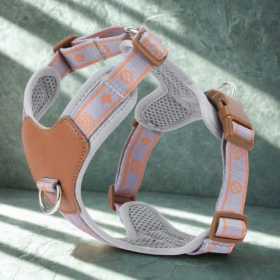 harnais chien couleur bleu gris imprimee