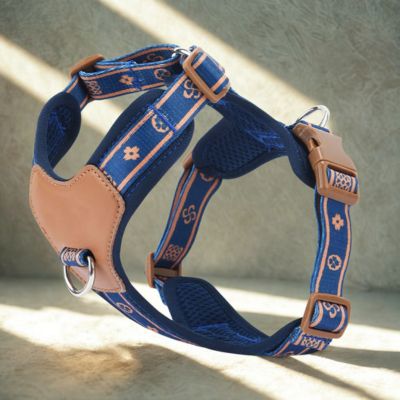 Harnais chien | Confort-Secure™️