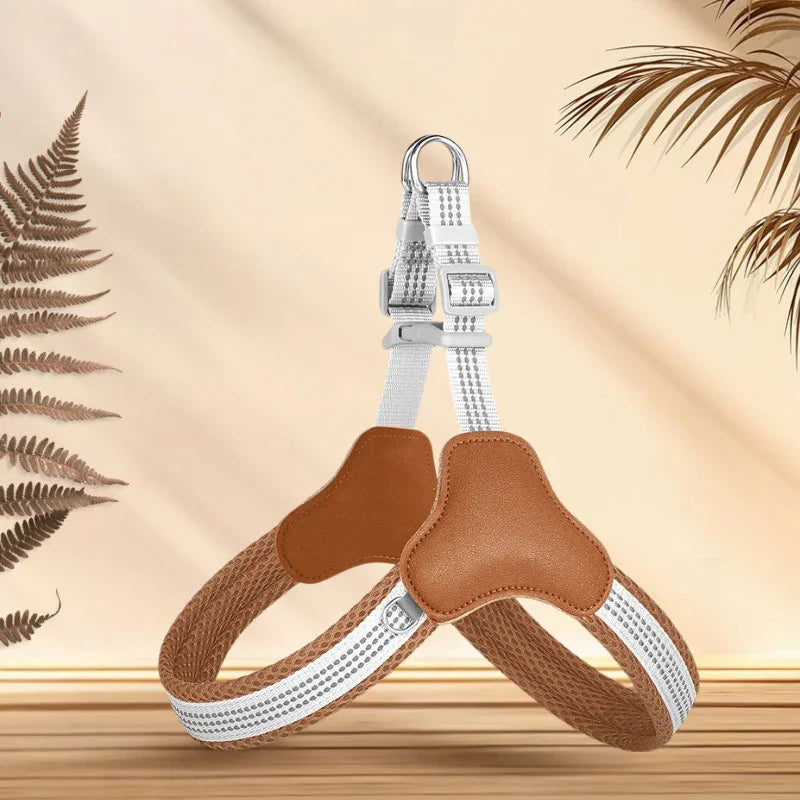 harnais chien couleur-brun