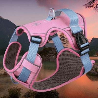 harnais chien paysage arriere harnais rose bleu