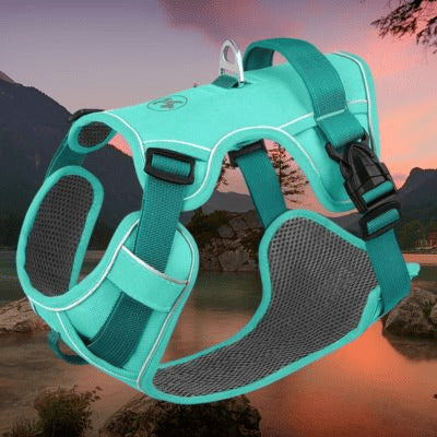 harnais chien paysage arriere harnais turquoise