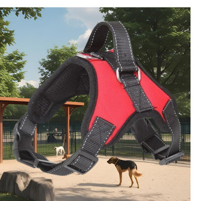 harnais chien rouge arriere plan parc chien