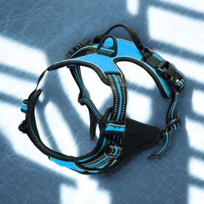 harnais couleur bleu reflechissant