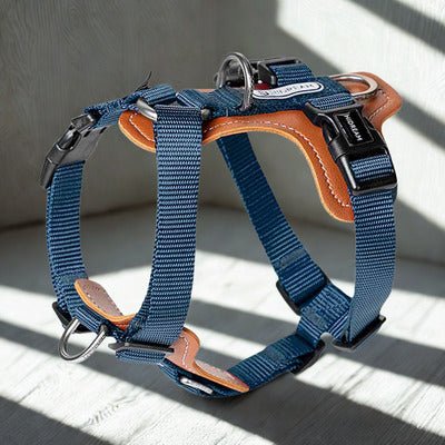 Harnais | Fidoflaneur™️ - Jolianimaux