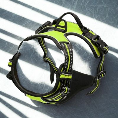 harnais couleur vert fluo reflechisaant