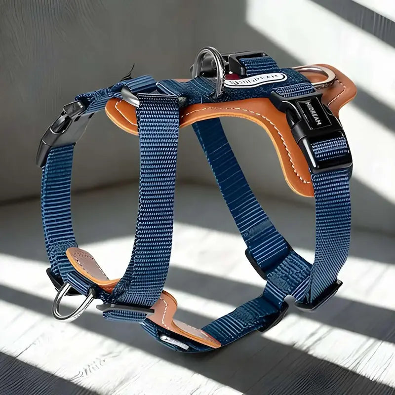 Un harnais avec sangle en nylon couleur bleu.