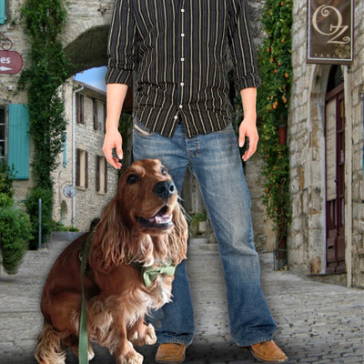 harnais golden homme village france