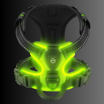 harnais lumineux couleur vert fluo