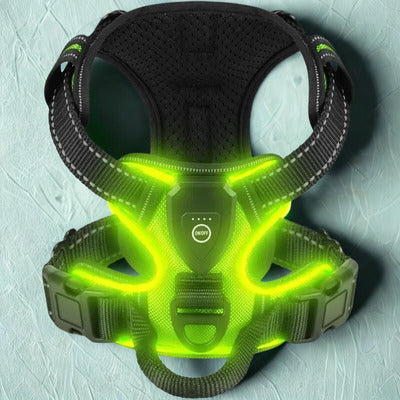 harnais lumineux led nuit vert fluo