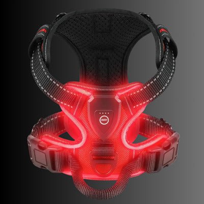 Harnais | PupParade™️ - Jolianimaux