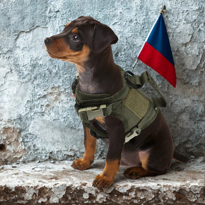 harnais pour chien chiot harnais couleur vert fonce