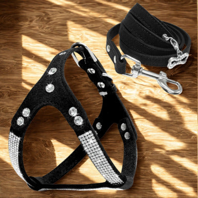 harnais pour chien couleur noir avec cristaux