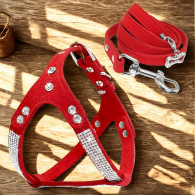 harnais pour chien couleur rouge avec cristaux