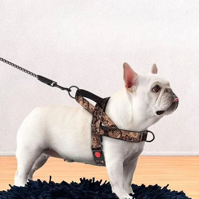 Harnais pour Chien - DogSafeHarness™ - Noir Doré - Jolianimaux