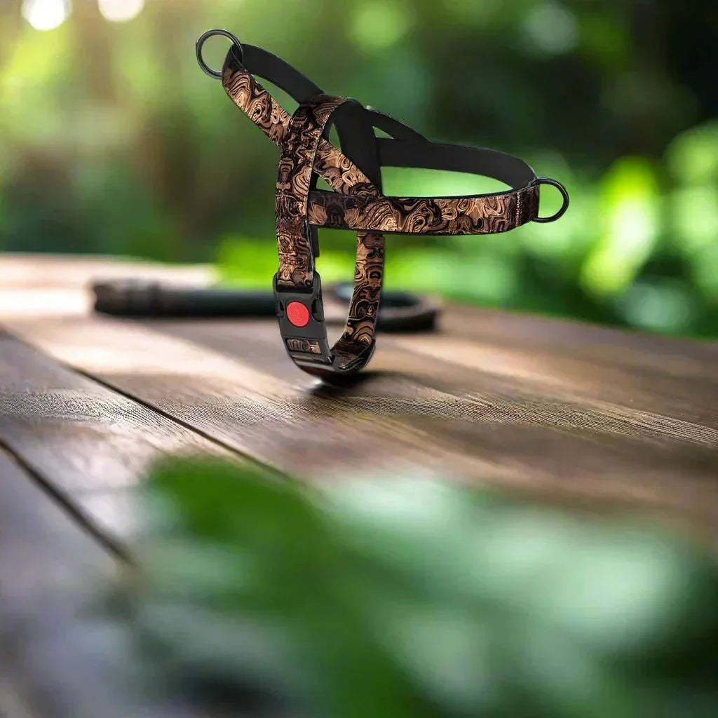 Harnais pour Chien - DogSafeHarness™ - Noir Doré - Jolianimaux