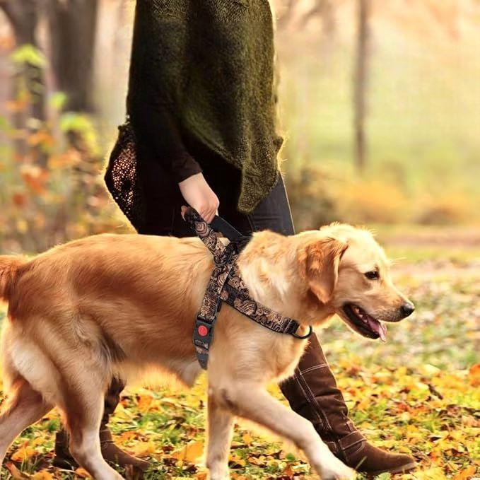 Harnais pour Chien - DogSafeHarness™ - Noir Doré - Jolianimaux