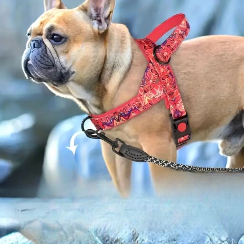 Harnais pour Chien - DogSafeHarness™ - Rouge - Jolianimaux
