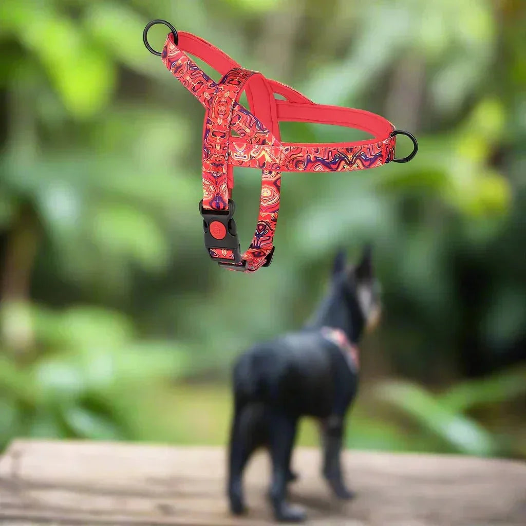 Harnais pour Chien - DogSafeHarness™ - Rouge - Jolianimaux