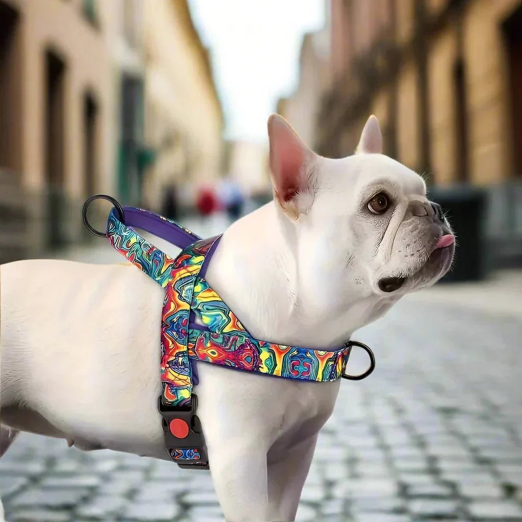 Harnais pour Chien - DogSafeHarness™ - Violet - Jolianimaux